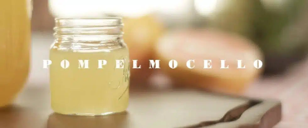 Preparación de Pompelmocello casero utilizando alcohol de cereal 96º y piel de pomelos frescos para un licor italiano dulce.